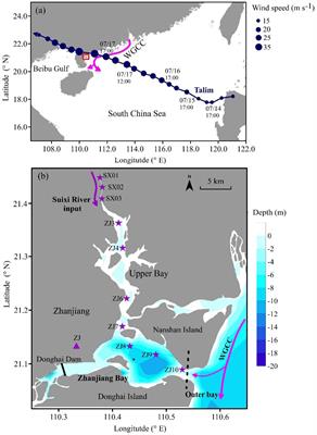 Changes in hydrodynamics and nutrient load of the coastal bay induced by Typhoon Talim (2023)